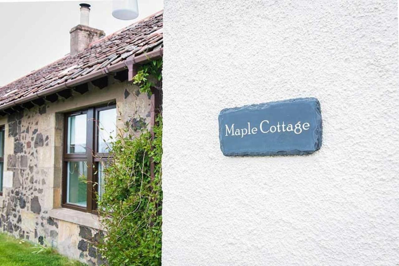 Douglas Fir Lodge With Hot Tub Near Cupar Fife Luthrie エクステリア 写真
